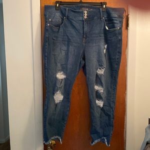 Torrid jeans